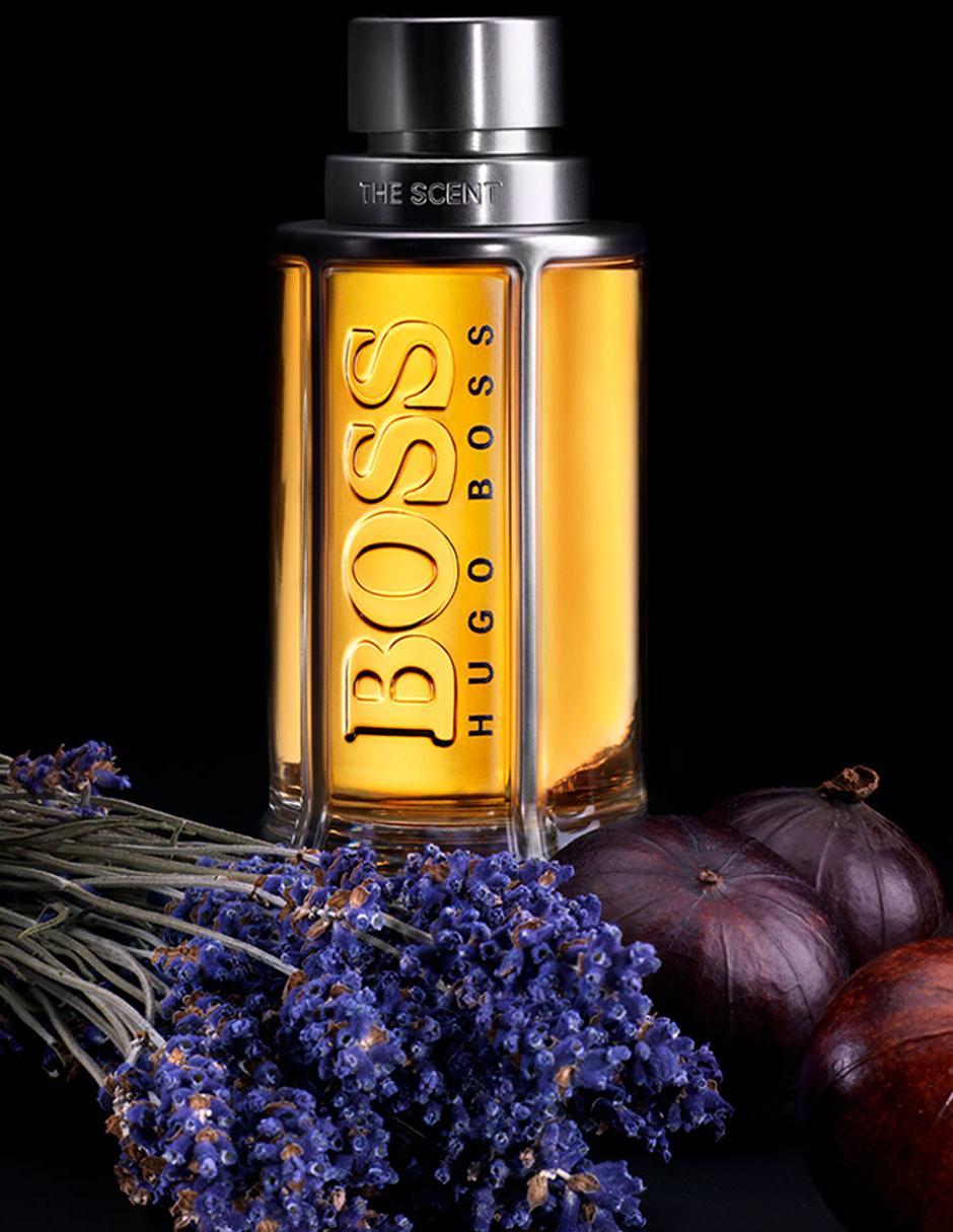 Boss the Scent 100ml Eau de Toilette