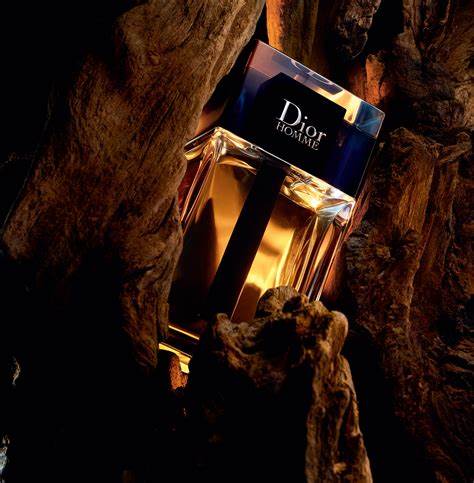 Homme 100ml Eau de Toilette